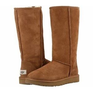UGG tall chestnut brown boot, 6, good/used